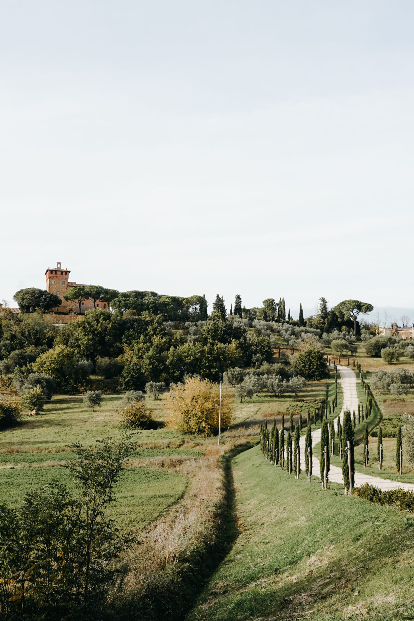 Hügellandschaft bei einer Hochzeit in der Toskana