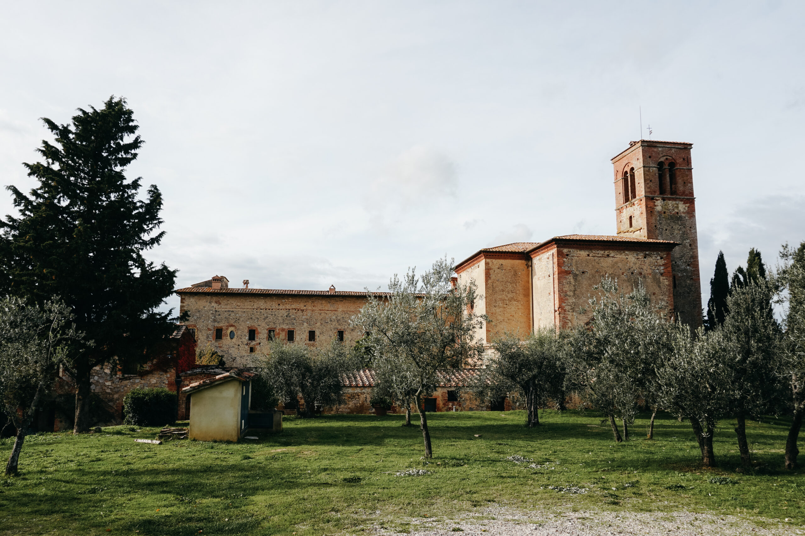 Hochzeit in der Toskana in den Olivenhainen